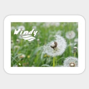 WINDY TEXT DESIGN Sticker